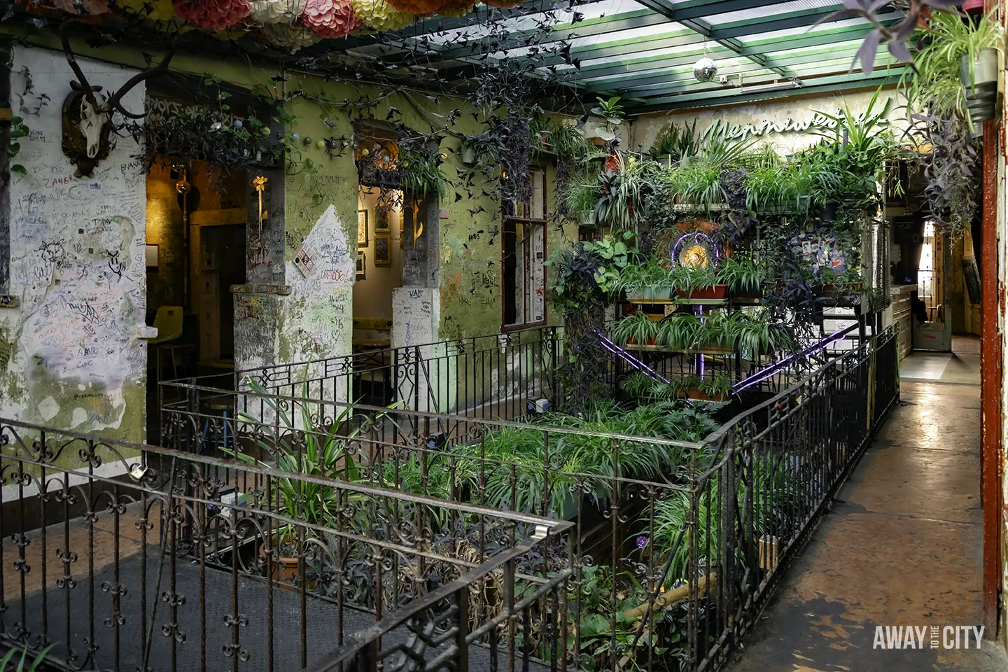 A lush indoor landscape with plants and greenery, contributing to the unique charm of the Szimpla Kert ruin bar.