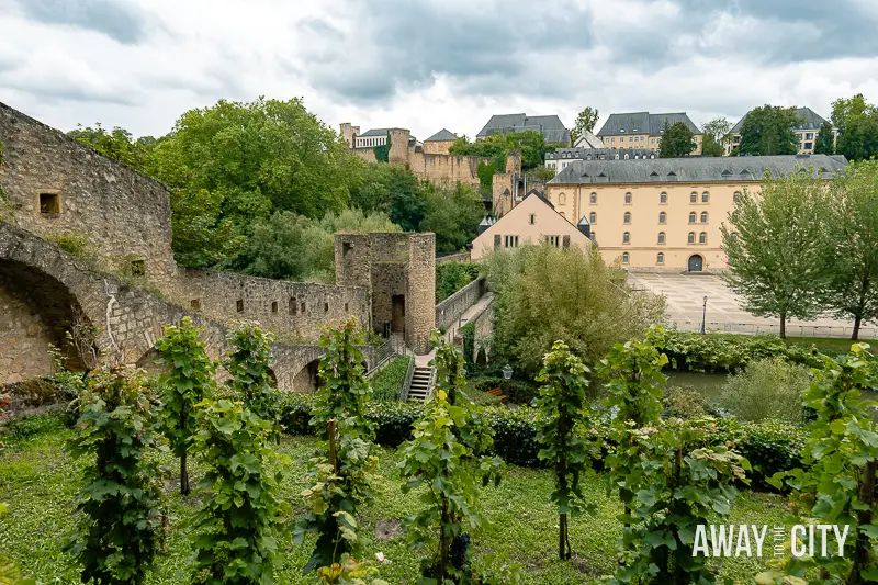 A picture of the old city wall garden in Luxembourg City's Grund District