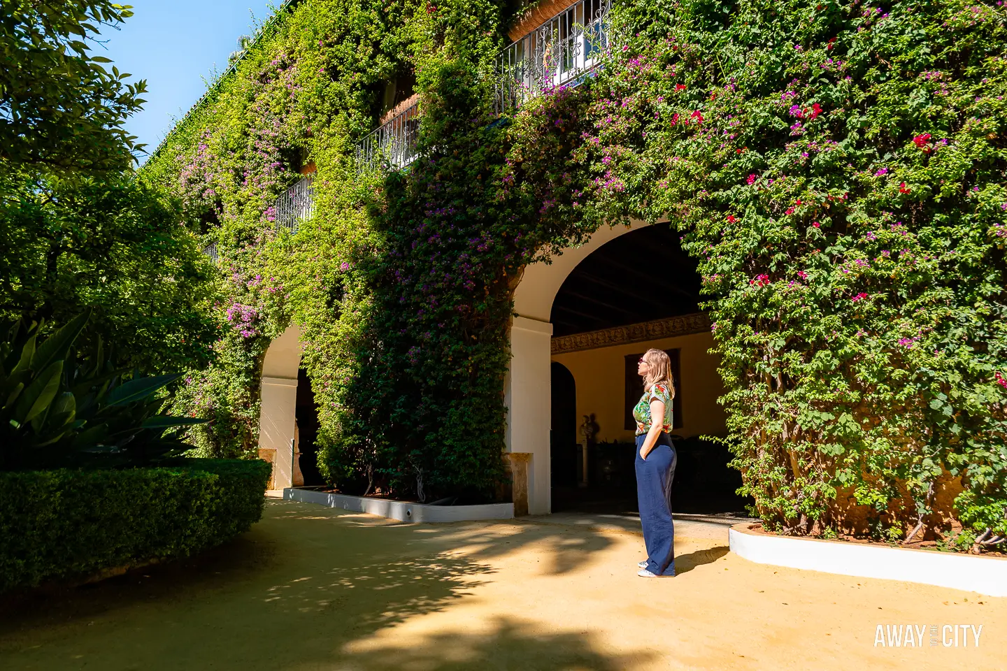 A picture of a person standing in front of the fassade of the entrance area of Palacio de las Dueñas adorned with purple flowers.