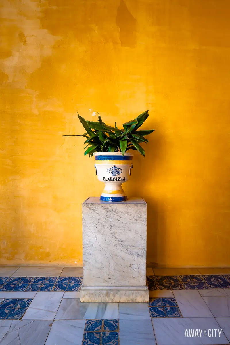 A picture of a ceramic plant pot on a pedestal in front of an orange wall in Real Alcazar (also known as Royal Alcázar of Seville).