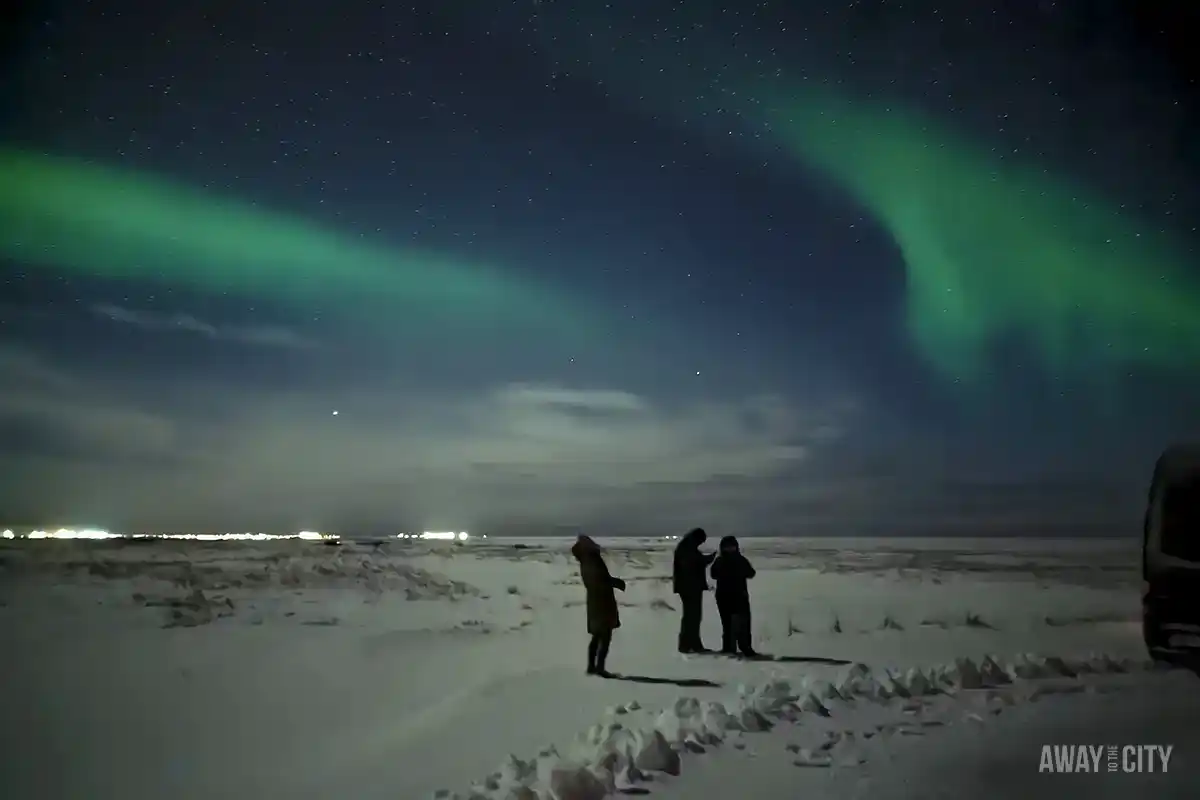 A group of people marvel at the Northern Lights in Reykjavik, with the sky ablaze in a dance of green and turquoise hues.