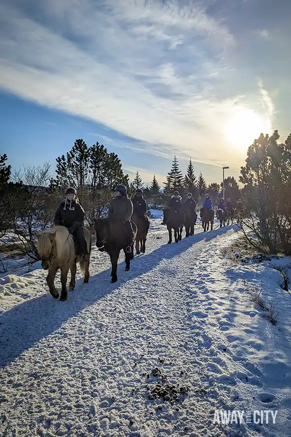 A group of people riding horses through Iceland’s volcanic fields covered in snow in Reykjavik in winter, one of the best things to do in Reykjavik in winter.