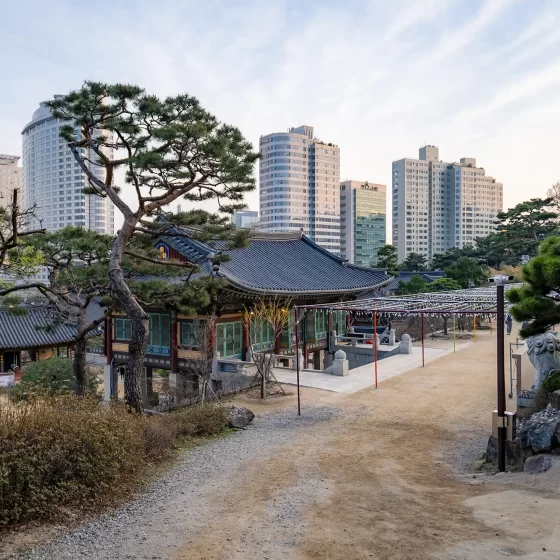 Buddhist temple Bongeunsa in Gangnam, Seoul, with trees in front of it.