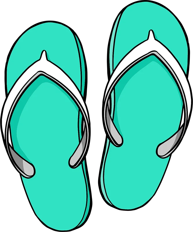 A minimalistic illustration of a flip flop.
