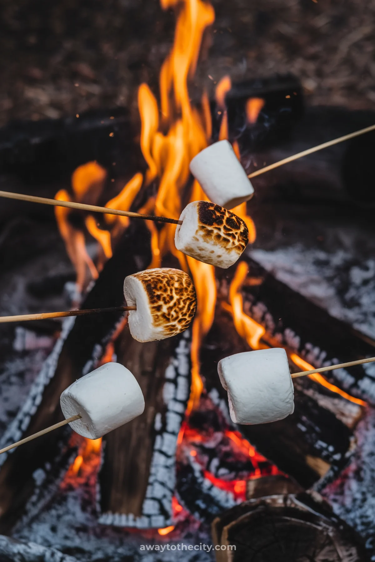 Summer Bucket List Ideas Bonfire Marshmallows
