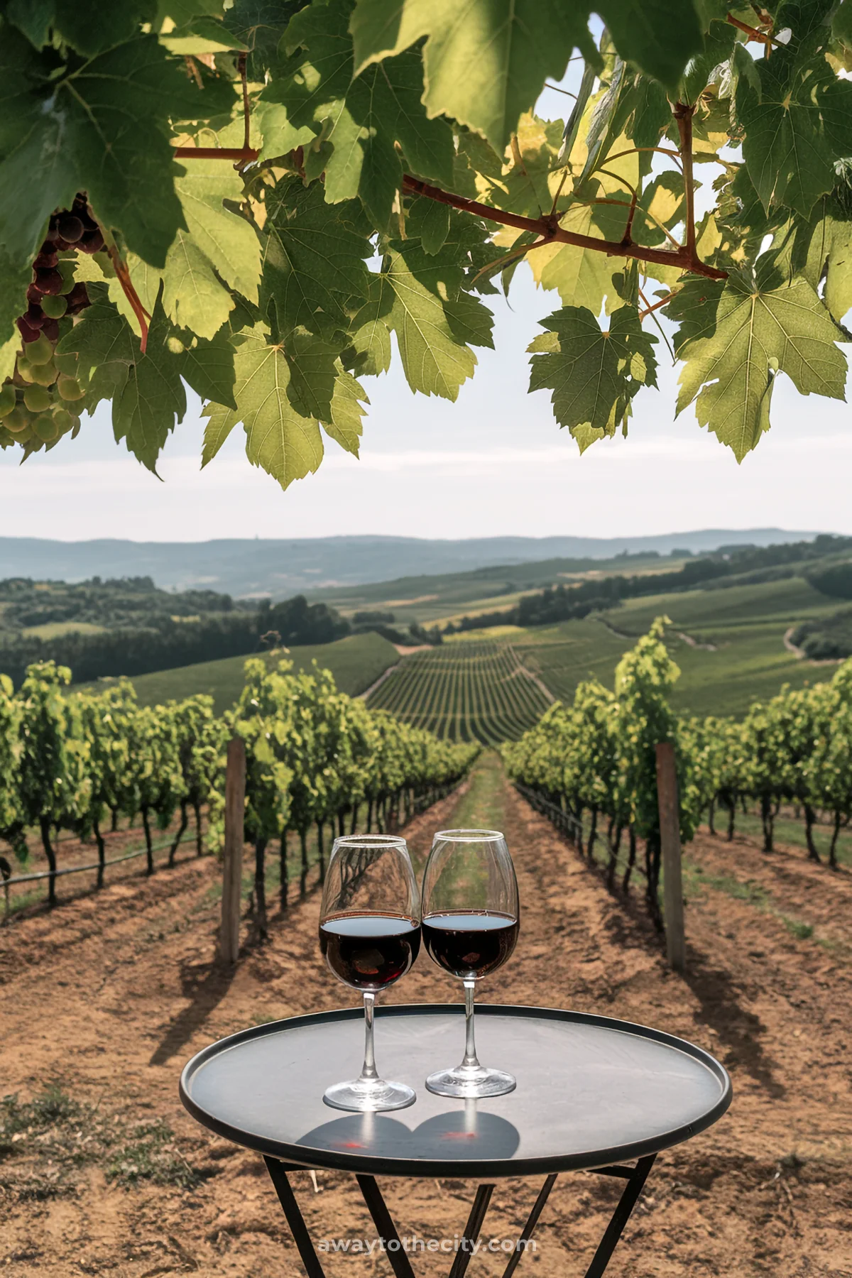 Summer Bucket List Ideas Wine Tasting