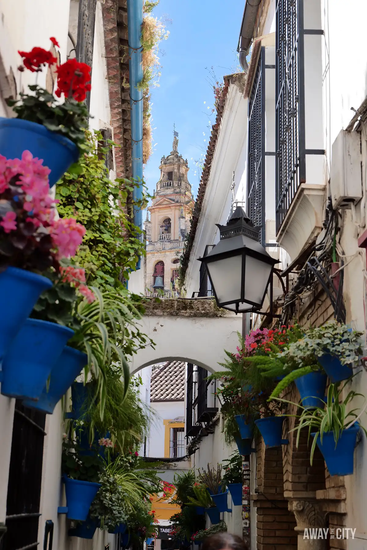 Calleja de las Flores in Cordoba, a narrow whitewashed street lined with blue flower pots, leading towards a historic church tower framed by an archway.