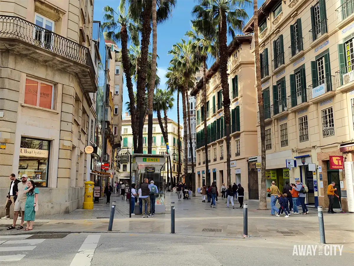Palm-lined street in Malaga old town with tall buildings, shopfronts, and groups of people strolling under bright midday sunshine.
