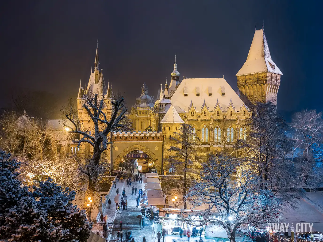 Night view of a grand illuminated building in Budapest surrounded by trees and soft glowing lights in a wintery atmosphere.