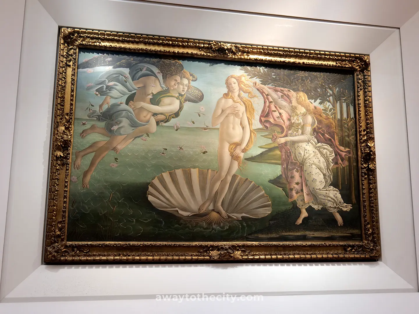 The Birth of Venus by Sandro Botticelli is displayed in a golden frame at the Uffizi Gallery.