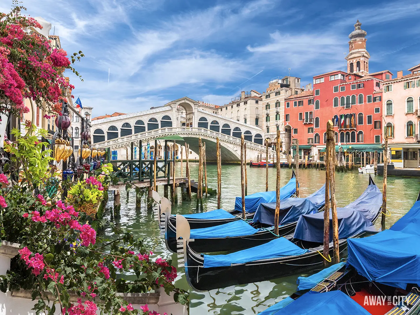 Gondolas are moored in a canal near the Rialto Bridge in Venice, framed by vibrant pink flowers and colorful historic buildings.