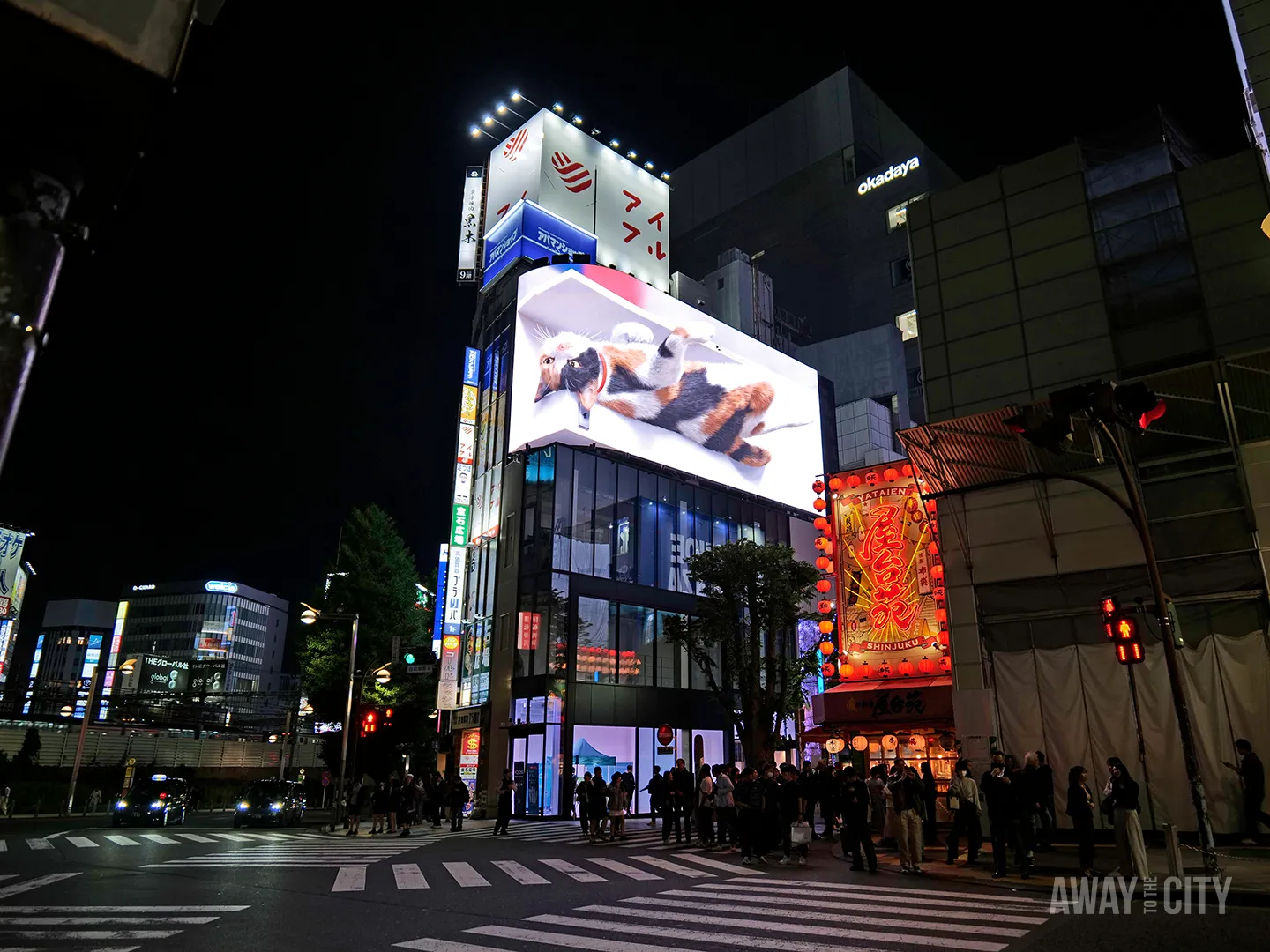 Night street intersection with crowds beneath towering digital billboard showing giant cat, surrounded by neon signage and building labelled Okadaya.