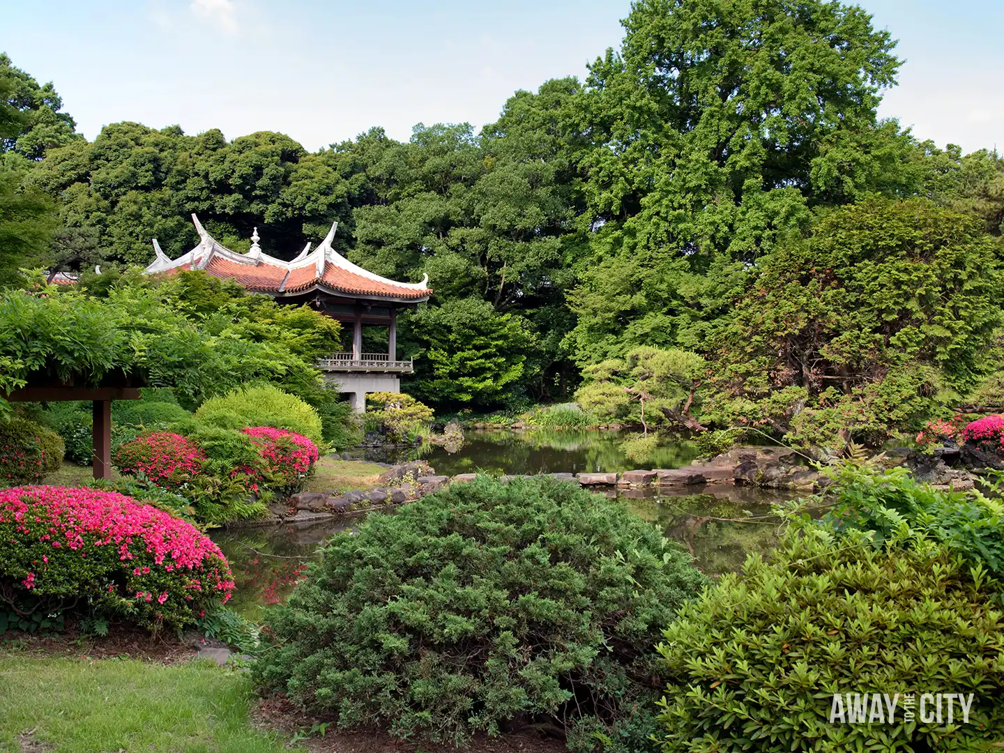 Traditional pavilion with curved tiled roof beside tranquil pond, surrounded by manicured shrubs and trees in Shinjuku Gyoen National Garden in Tokyo.