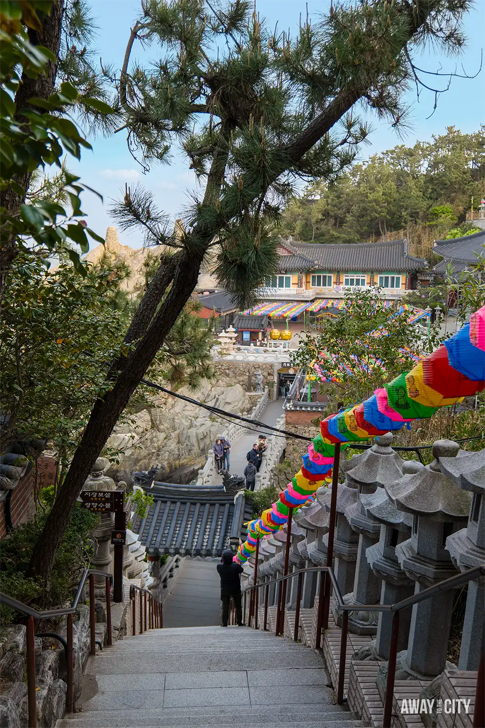 View down the 108 stone steps at Haedong Yonggungsa Temple in Busan, lined with colourful lanterns descending towards the coastal temple complex.