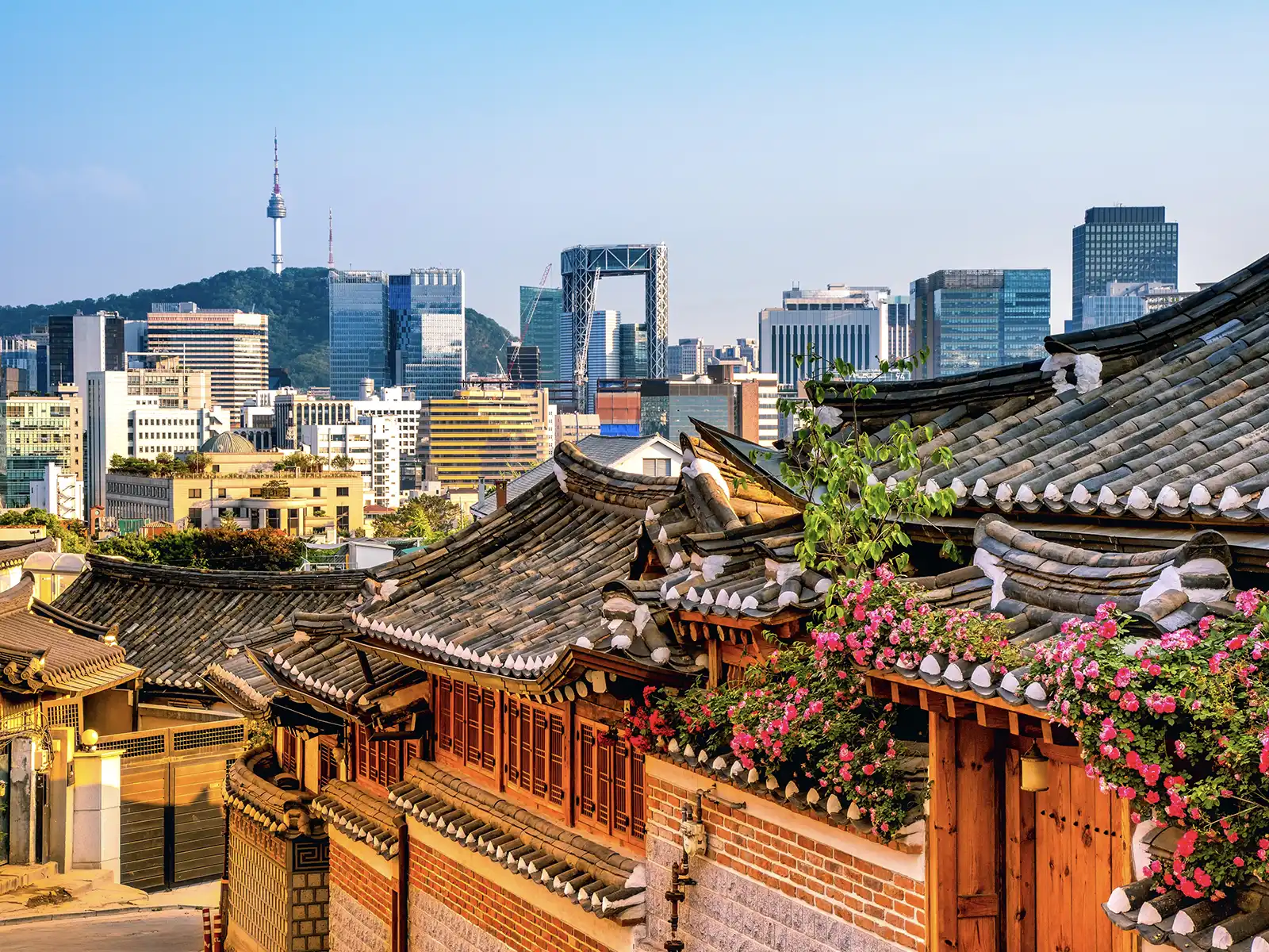 Bukchon Hanok Village features traditional Korean tiled-roof houses with blooming pink flowers in the foreground, contrasted against a modern Seoul skyline and N Seoul Tower.