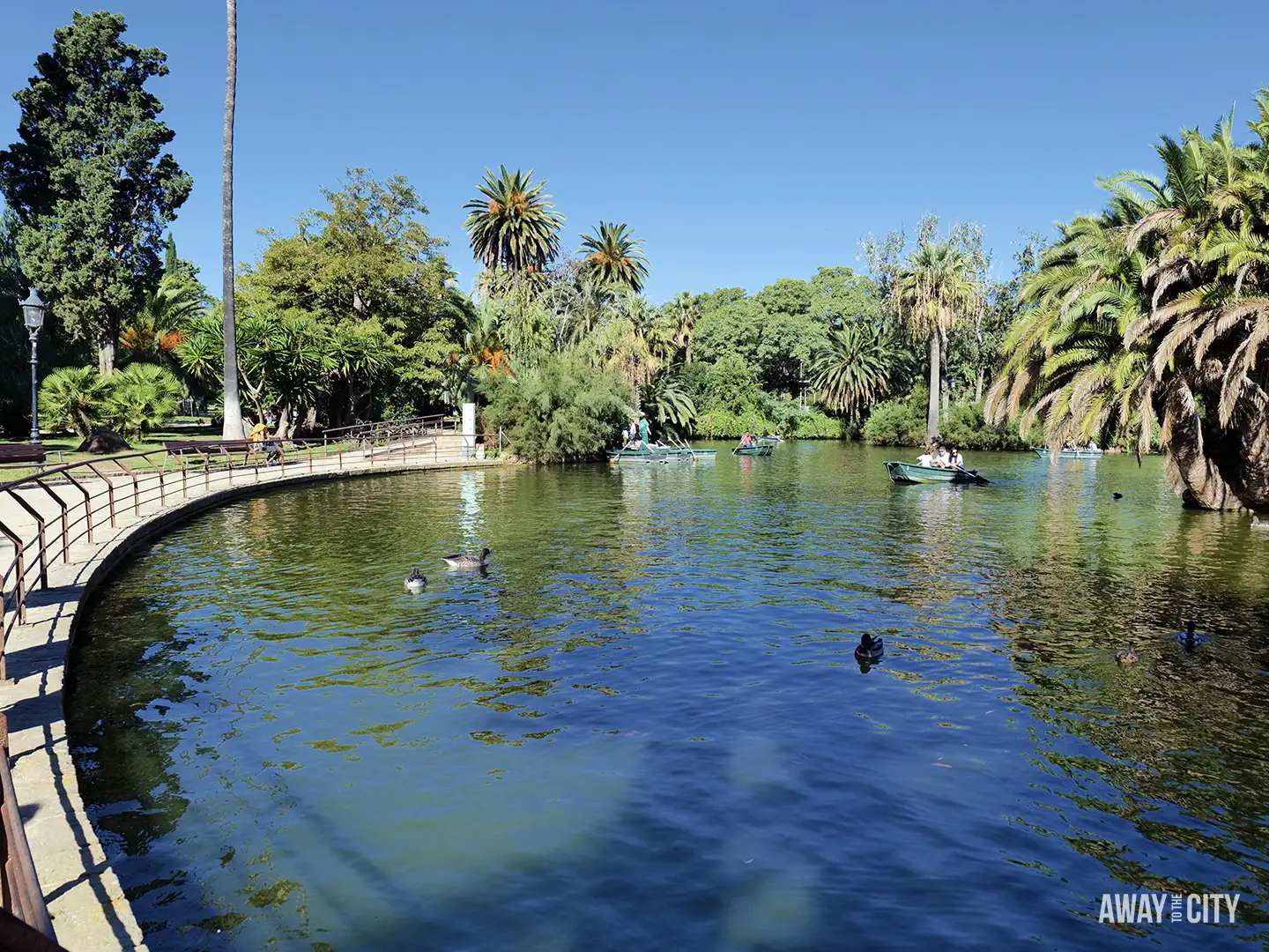 A tranquil, sunny view of the lake in Parc de la Ciutadella, showing palm trees, ducks, and people in rowing boats.