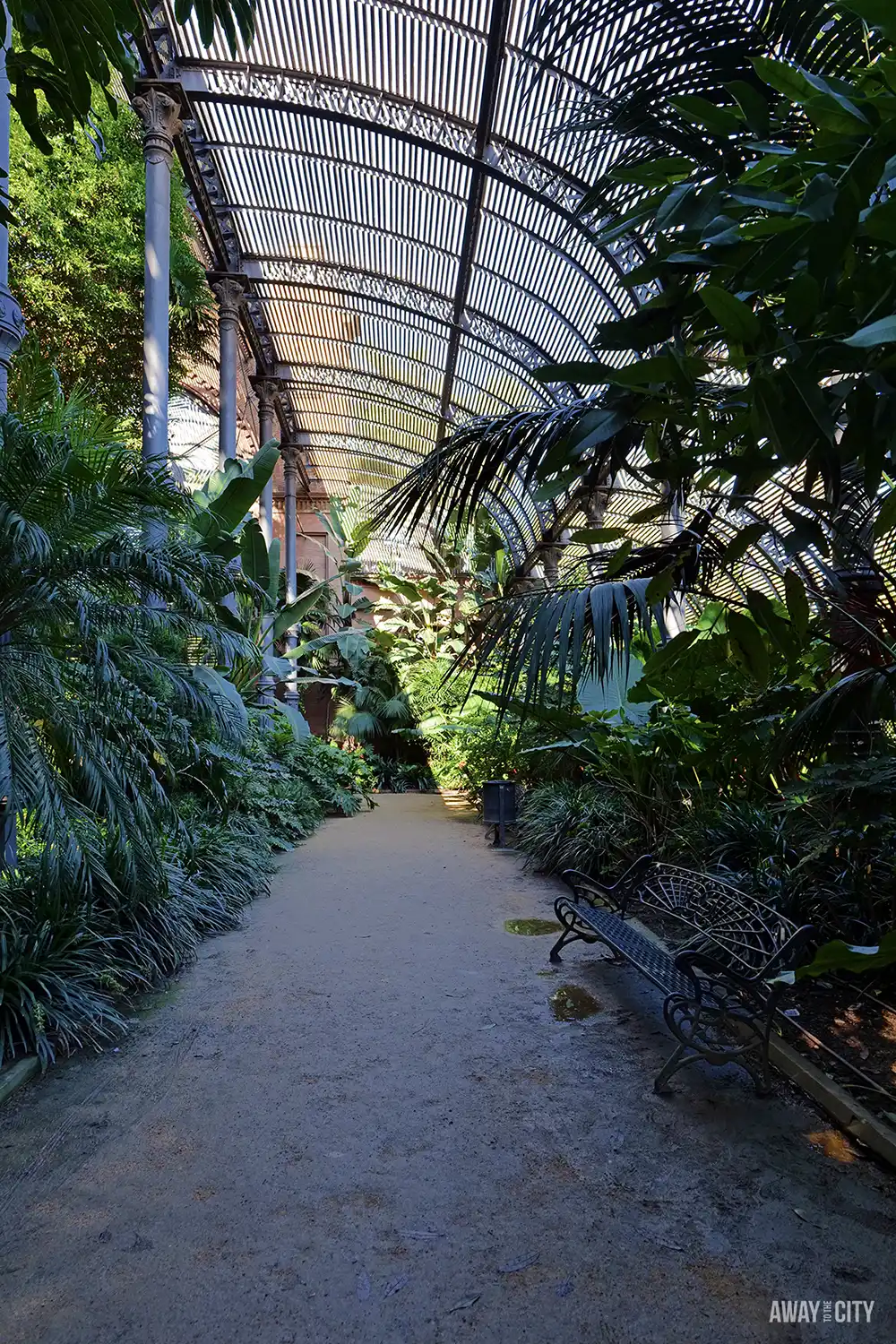 A shady pathway inside the Umbracle greenhouse at Parc de la Ciutadella, surrounded by lush, tropical foliage.