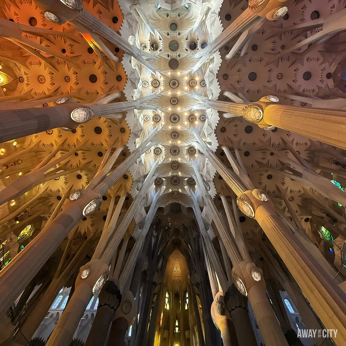 A stunning low-angle view of the Sagrada Família's ceiling shows the intricate tree-branch columns and geometric vaulting.