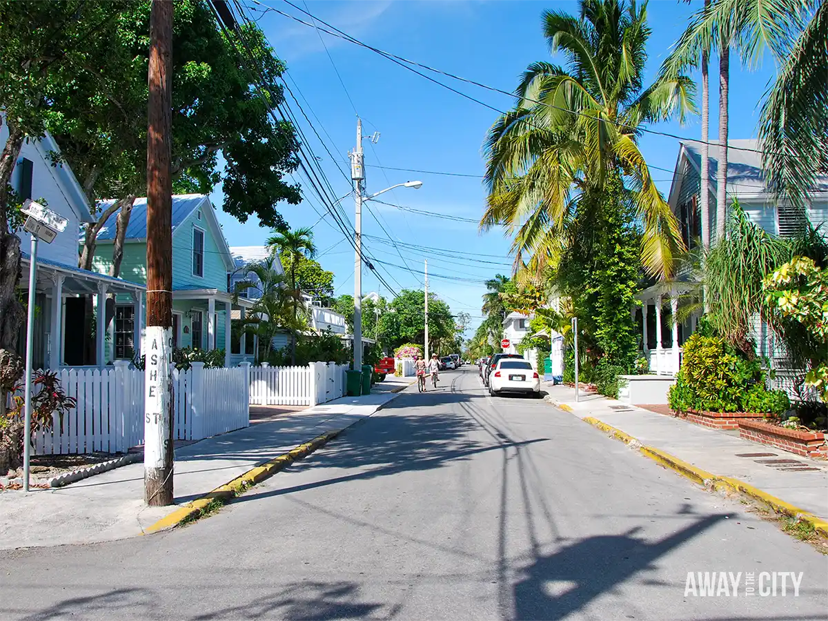 Quiet residential street in Key West, Florida, lined with colourful wooden houses, white picket fences, tropical trees and tall palm trees.