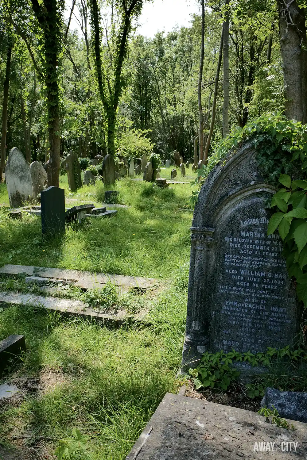 A large, grassy clearing with many old, weathered gravestones scattered amongst trees and overgrown foliage.