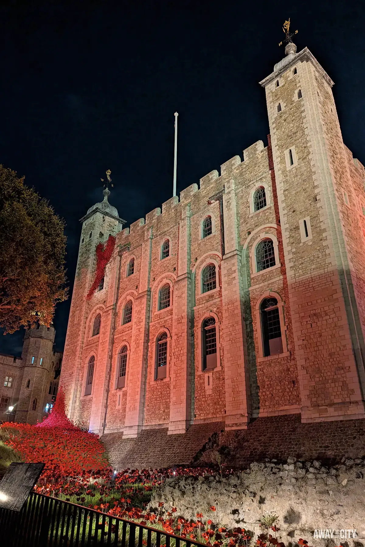 A dramatic night-time, low-angle shot of the White Tower in the Tower of London lit by red light, with a field of red poppies in the foreground.