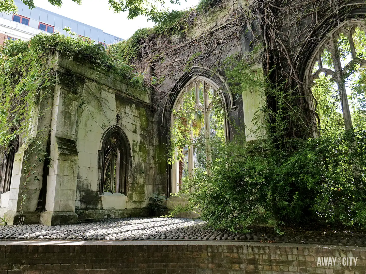 A sunny, low-angle shot of the overgrown ruins of St Dunstan in the East Church in London, featuring archways covered in ivy and green foliage.
