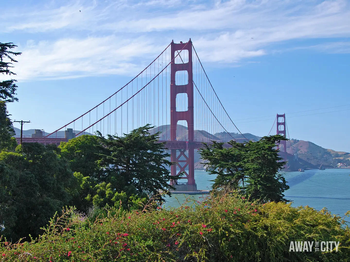 Golden Gate Bridge spanning blue water, viewed through coastal trees and shrubs, with rolling hills and light clouds beyond.